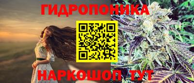 крисы Бузулук