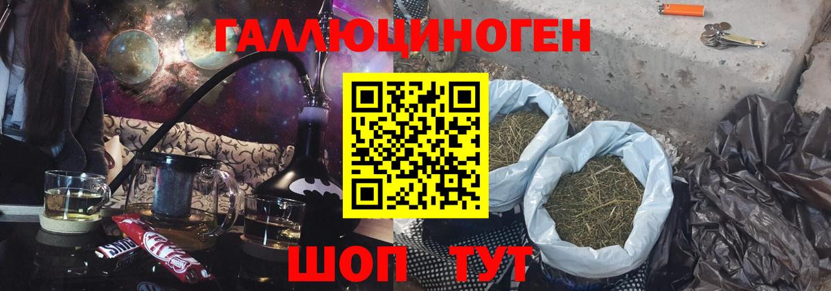 Сафоново  Галлюциногенные грибы Cubensis  Вход с VPN  Псилоцибиновые грибы Psilocybine cubensis 