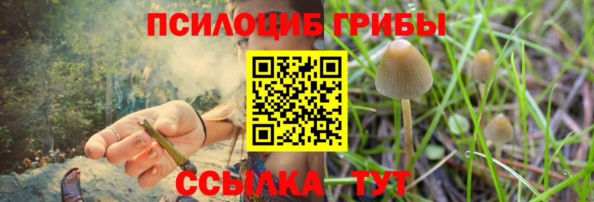 Галлюциногенные грибы MAGIC MUSHROOMS Сафоново